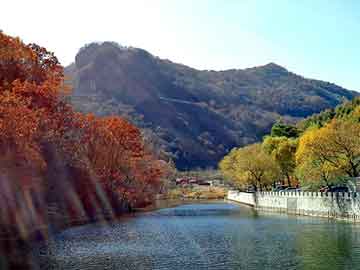 打胎药购买记录打胎没掉干净吃什么药（打胎没掉干净,吃什么药）